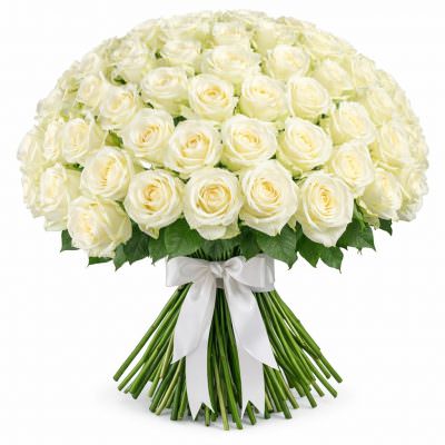 Розы Россия белые
