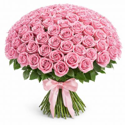 Розы Россия розовые