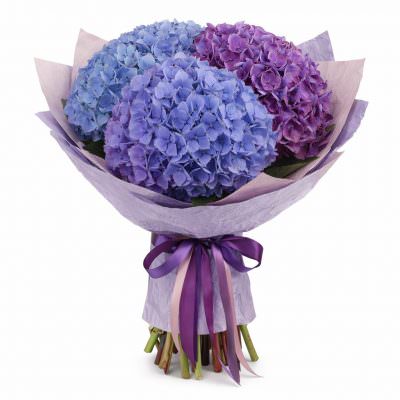 Подарочный букет «Лавандовый Вальс»