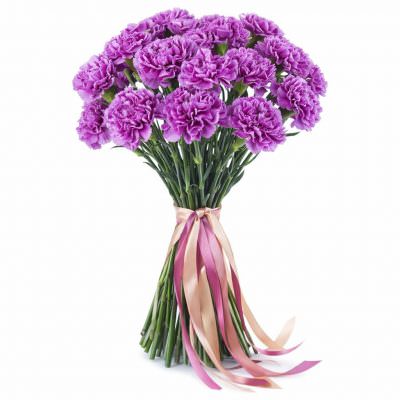 Гвоздика фиолетовая