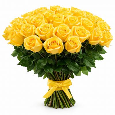 Розы Голландия желтые