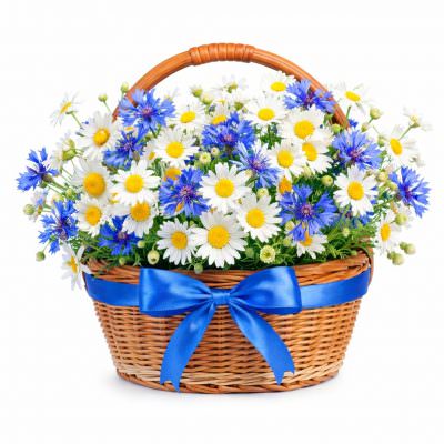 Ромашки и васильки в корзине «Летний бриз»