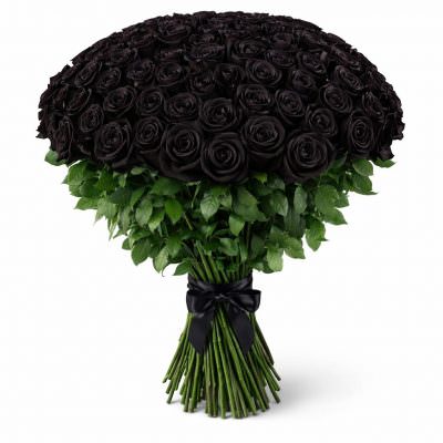 Розы Эквадор черные