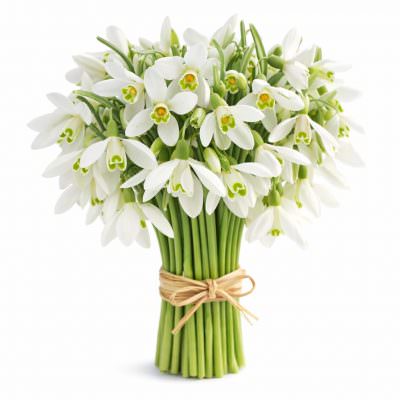 Букеты с подснежниками