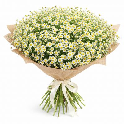 Букеты с танацетумом