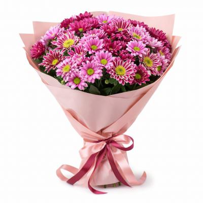 Букет из розовых хризантем «Сладкий шарм»