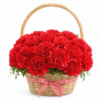 Корзина с красными гвоздиками «Яркая симфония»