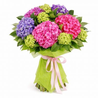 Букет гортензий «Цветочное великолепие»