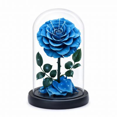 Роза в колбе голубая