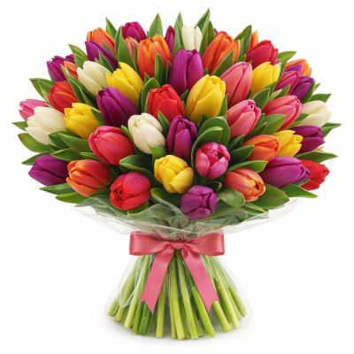 Акция! Тюльпаны 35 шт.
